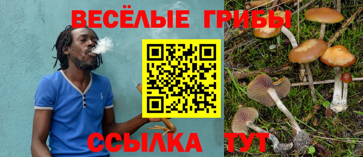 Псилоцибиновые грибы Cubensis Луховицы